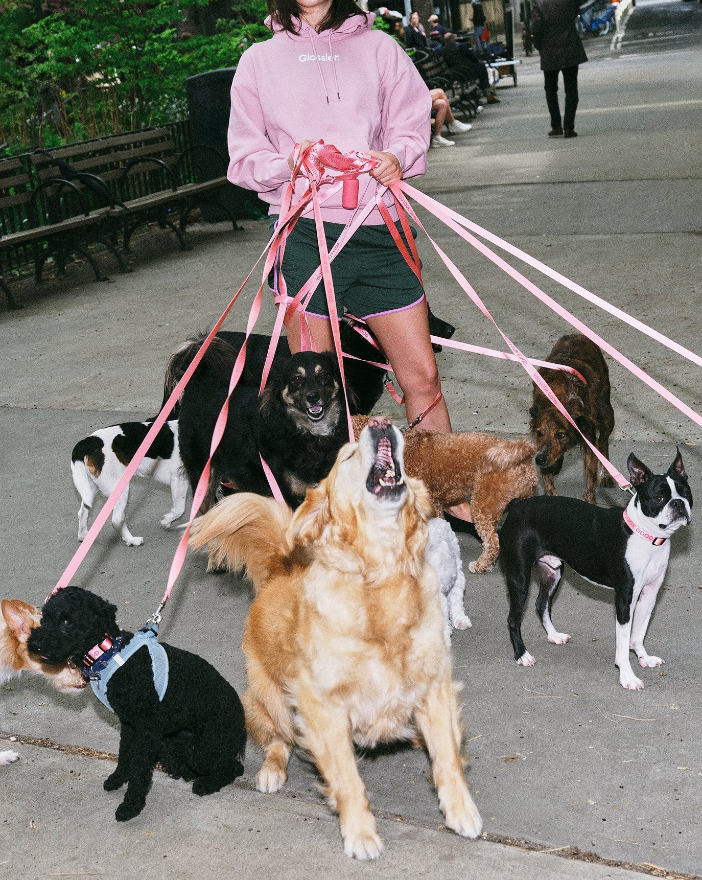 SRC_E351EB3C47F4EC73 You Look Good Leash