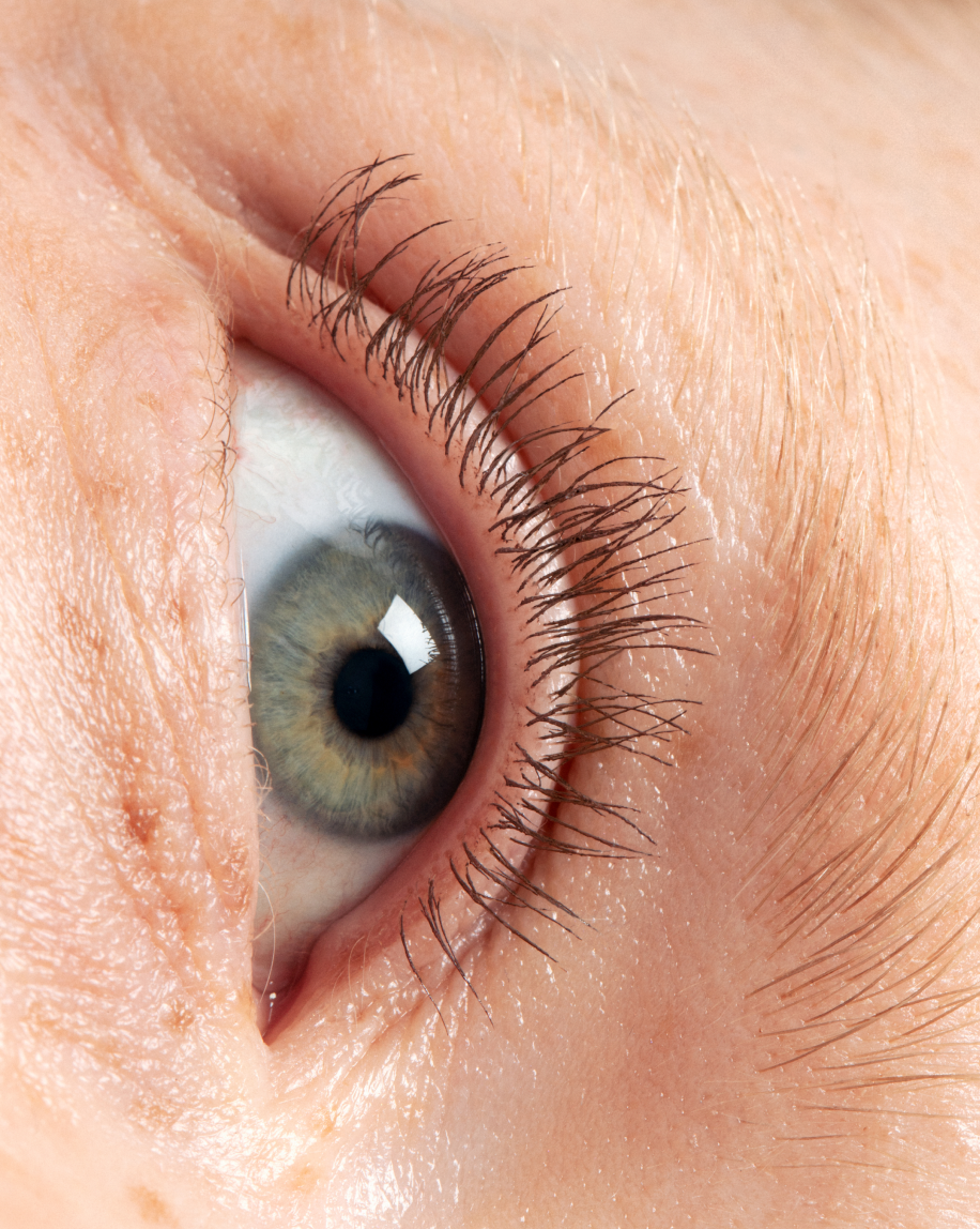 SRC_4BC2A7432CA9506B Lash Slick